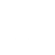 Fire axe, the Fighter class icon