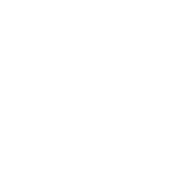 Taser, the Security Guard class icon